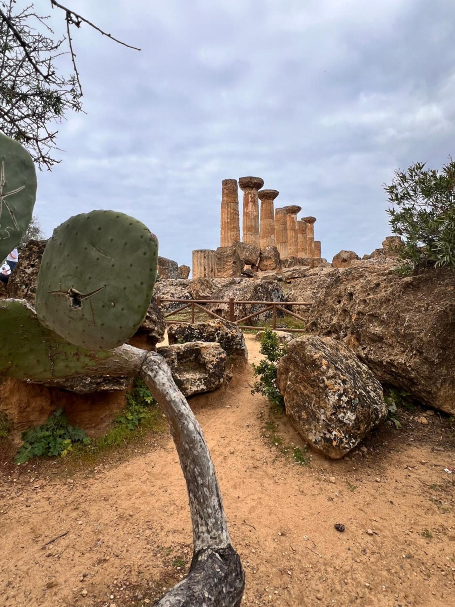 La Casa Di Fili Διαμέρισμα Αγκριτζέντο Εξωτερικό φωτογραφία